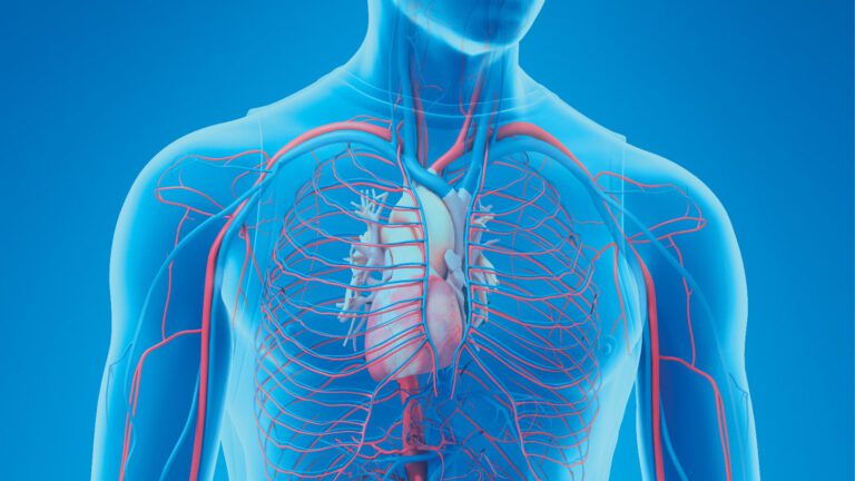 Doenças Cardiovasculares: Prevenção Pode Salvar Vidas